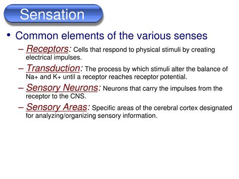 A closer look: Analyzing the sensations experienced in the dream