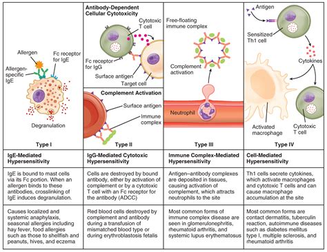 A game-changer during critical moments: Effective remedies for intense hypersensitivity responses