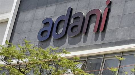 Aashi Adani's Business Ventures and Investments