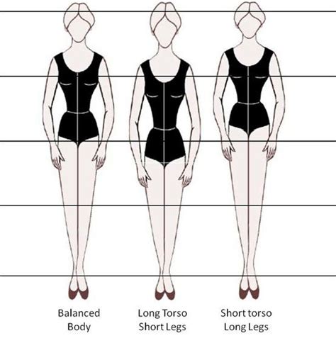 About Carolina Salvatore's Vertical Measurement and Body Shape