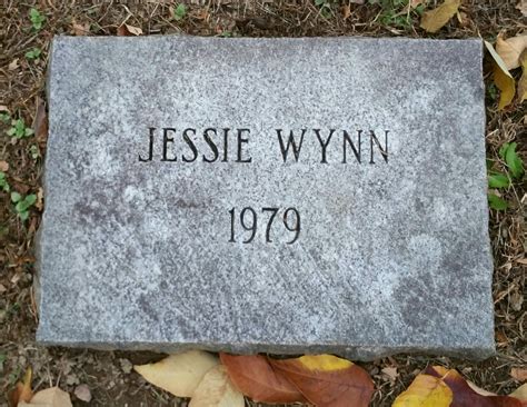 Achievements and Value of Jessy Wynn