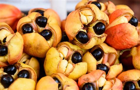 Ackee's Toxic Secret: Understanding the Dangers of Improper Consumption