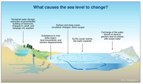 Adapting to a Future with Increased Sea Levels