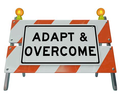 Adapting to a New Environment: Overcoming Challenges