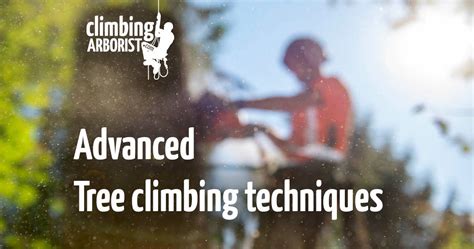 Advancing Skills for Experienced Tree Climbers