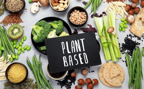 Advantages of a Plant-Based Diet: Investigating the Positive Influence on Well-being and the Environment