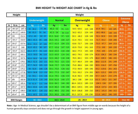 Age, Height, Figure Information