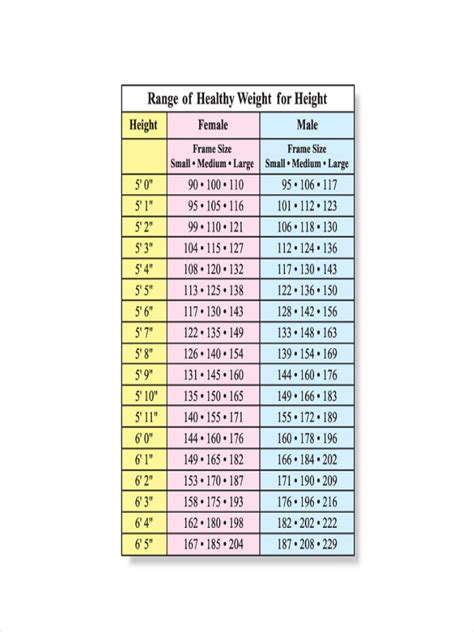 Age, Height, Measurements: All Revealed