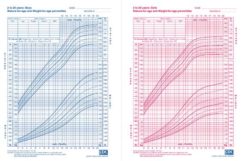 Age, Height, and Figure: The Stats