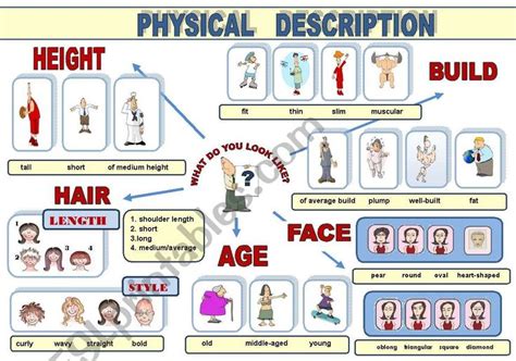 Age, Height, and Physical Characteristics