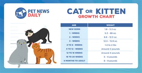 Age and Height of Kitty