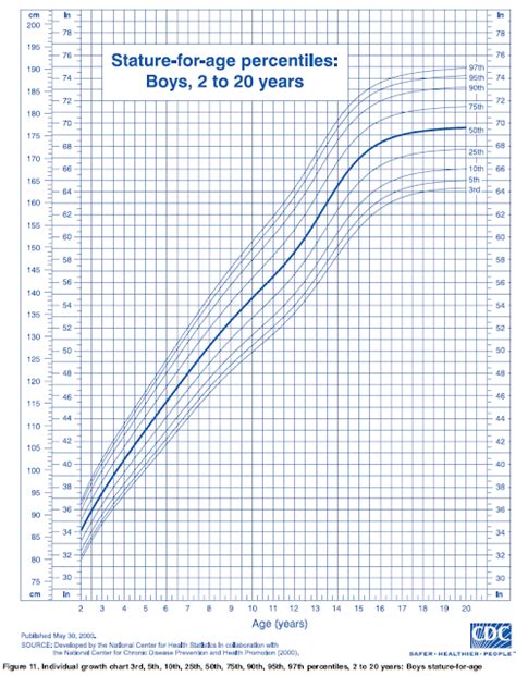 Age and Stature of the Notable Individual