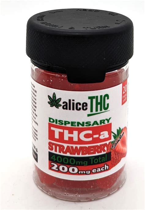 Alice THC's Journey to Success