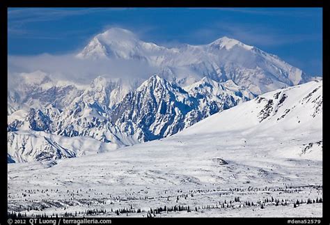 All About Denali Winter