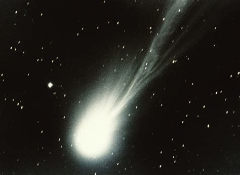 All About Hailey Comet Bio: