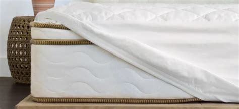 All you need to know about mattress protectors: The key to a cleaner sleeping environment