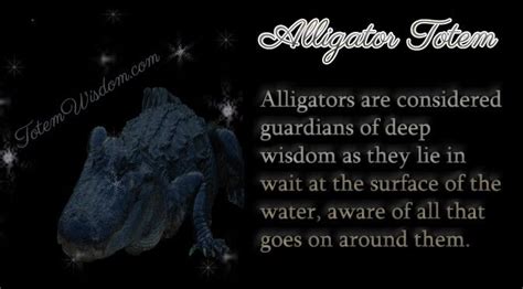 Alligator as a Symbol of Patience and Adaptability