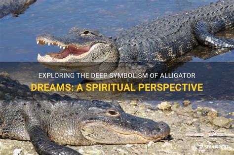 Alligator dreams and emotional turmoil: Exploring the connection between fear and subconscious anxieties