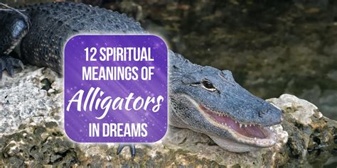 Alligators in dreams: A Guide to Symbolism