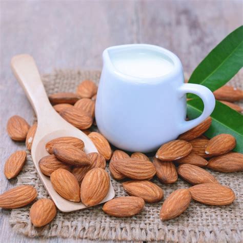 Almond Milk: An Exquisite and Wholesome Substitute