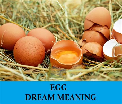 An Analysis of Egg Consumption Symbolism in Dreams