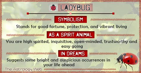 An Analysis of the Color Symbolism in the Enormous Ladybug Dream