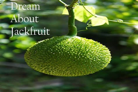 An Analysis of the Cultural Significance of Jackfruit in Dream Interpretation