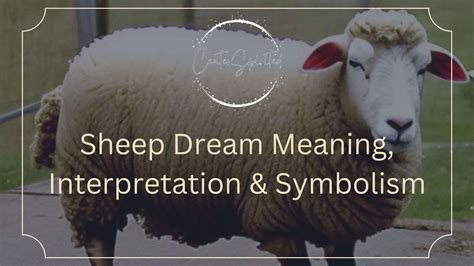 An Ancient Symbol: Sheep in Dream Interpretation