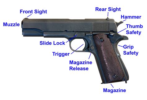 An Exploration into the Fascinating Urge for a Firearm