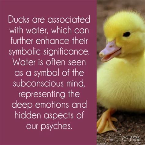 An In-Depth Analysis of Symbolic Meaning of Ducks in Dreams