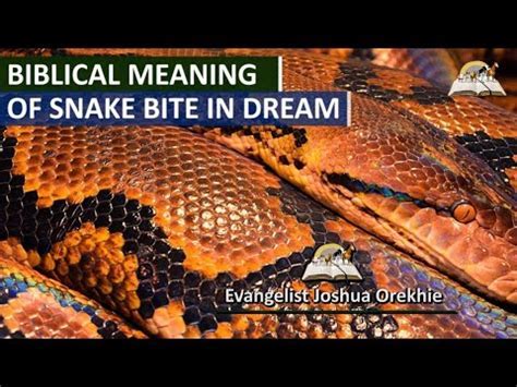 An In-Depth Analysis of the Symbolic Representation of a Venomous Reptile in the Realm of Dreams