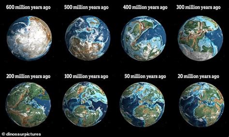 An Inside Peek at Shi's Years on Earth