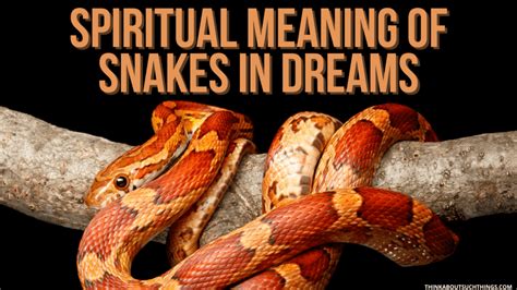 An Omen or a Message? Analyzing the Cultural and Spiritual Symbolism of Serpents in Dreams