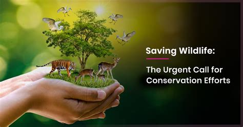 An Opportunity to Learn and Contribute to Conservation Efforts