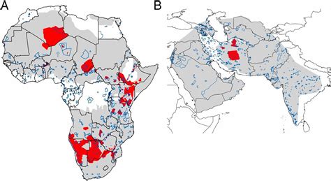 An Overview of the Decline in Cheetah Population