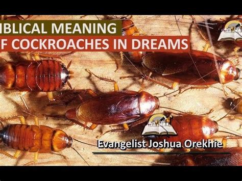 An Unexpected Encounter: Exploring the Significance of an Expired Roach in Dreams