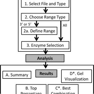 An in-depth analysis of Cicely Cissers' figure