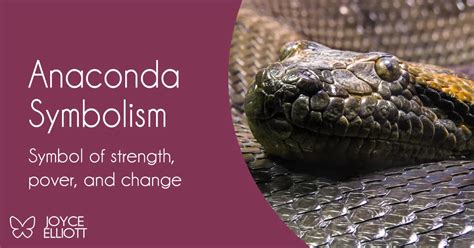 Anaconda as a Formidable Symbol