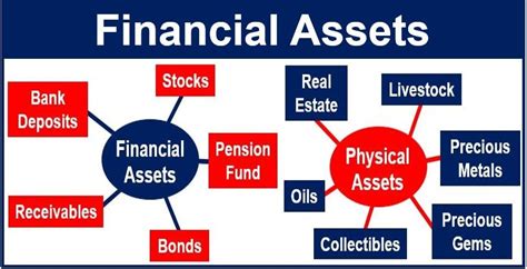 Analysis of Chisa Hoshino's Financial Assets