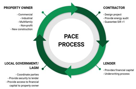 Analysis of Erika Pace's Financial Ventures