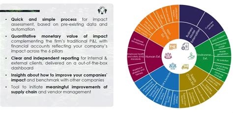 Analysis of Impact