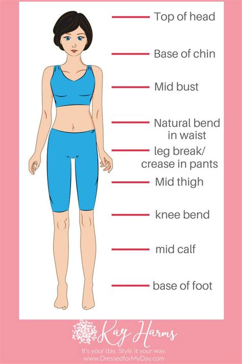 Analyzing Body Proportions