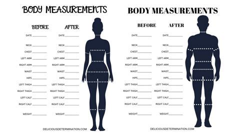 Analyzing Callie Brie's Body Measurements