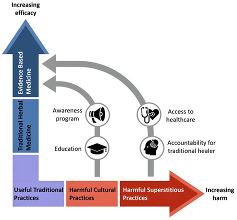 Analyzing Cultural Beliefs and Superstitions Surrounding Dental Dislodgement