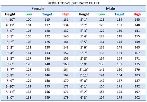 Analyzing Elle Angelis' Height and Figure