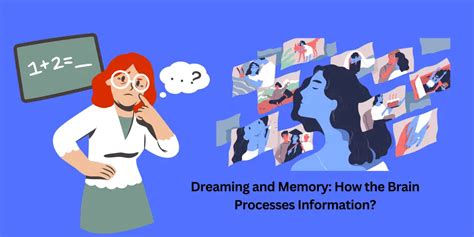 Analyzing the Connection between Dreaming and Memory Processes