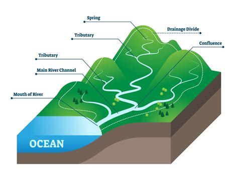 Analyzing the Different Classes of Flowing Streams in Dreams