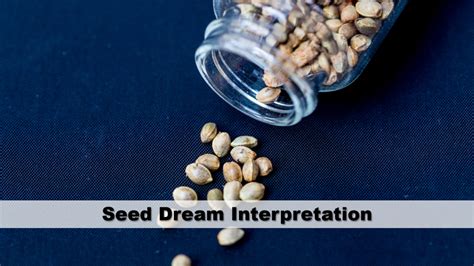 Analyzing the Dream of Seeds in Hair: Possible Interpretations