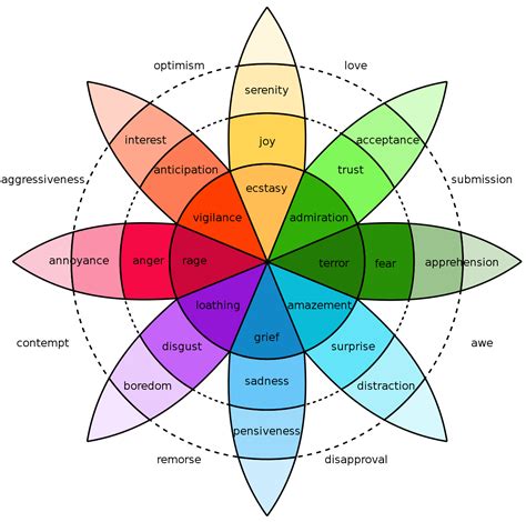 Analyzing the Emotions Involved in the Vision