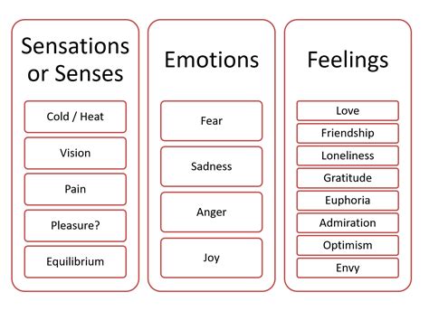 Analyzing the Emotions and Sensations in the Dream